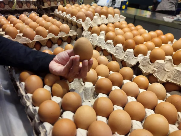 The human hand is delicately picking up an egg from paper egg case in a Supermarket. Business and finance photo.