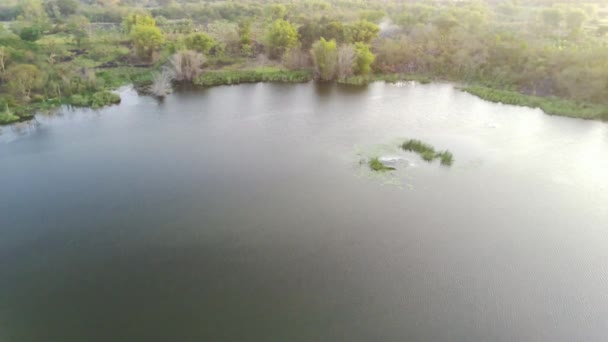 Drone Voa Sobre Pequeno Lago Cercado Por Vegetação Seca Com — Vídeo de Stock