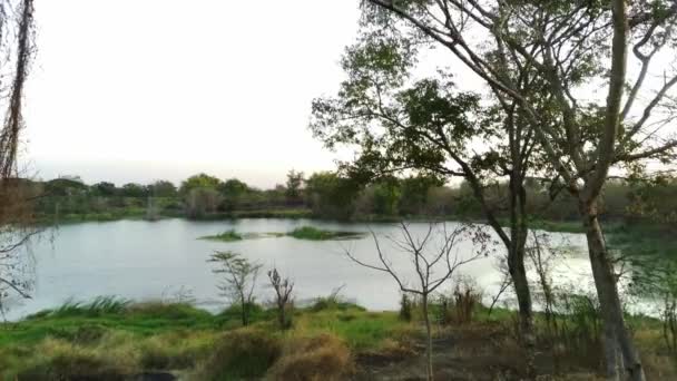 在印度尼西亚西苏拉巴亚 一架无人驾驶飞机飞越一个被干枯的植被环绕的小湖面 周围是丘陵地带的轮廓和几座高楼的背景 空中录像 — 图库视频影像