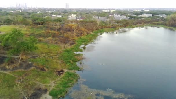 Ένα Drone Πετά Πάνω Από Μια Μικρή Λίμνη Που Περιβάλλεται — Αρχείο Βίντεο