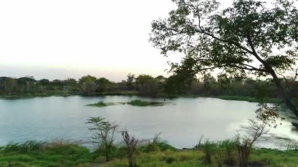 Drone Survole Petit Lac Entouré Une Végétation Sèche Avec Des — Video