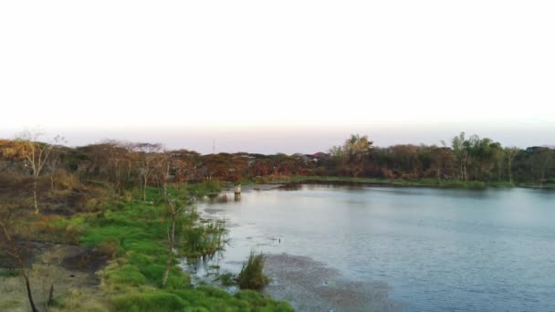 Беспилотник Пролетает Над Небольшим Озером Окружении Сухой Растительности Холмистыми Контурами — стоковое видео