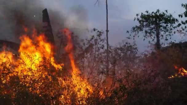 Fairly Large Fire Has Ignited Dry Underbrush West Surabaya Indonesia — Stock Video