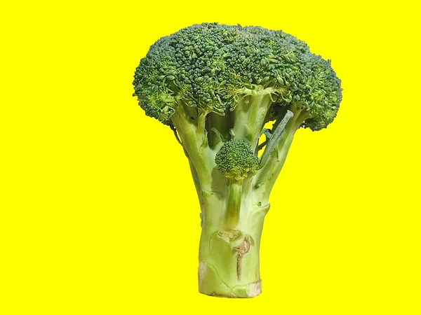 Ein Grünes Brokkoli Foto Mit Gelbem Hintergrund Für Die Fotografie — Stockfoto