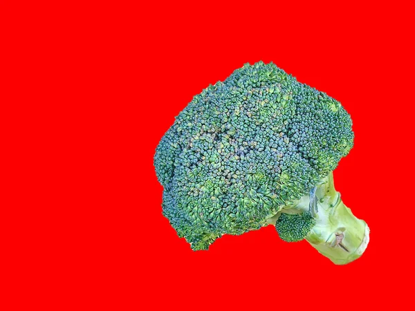 Grøn Broccoli Foto Stående Med Solid Farve Baggrund Mad Stilleben - Stock-foto