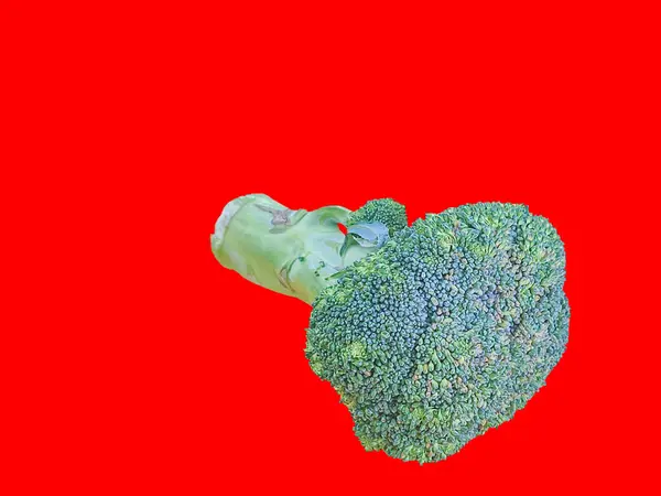 一个绿色的花椰菜图片站在一个坚实的色彩背景食物和静物摄影 复制空间和隔离对象 — 图库照片