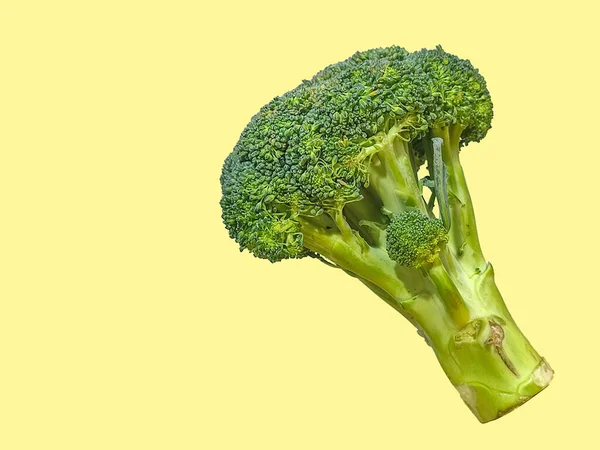 Una Foto Verde Broccoli Piedi Con Uno Sfondo Colori Solidi — Foto Stock