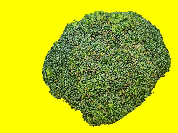 緑色のブロッコリーの写真は 食べ物とまだ生きている写真の固体色の背景に立っています スペースと孤立したオブジェクトをコピーする — ストック写真