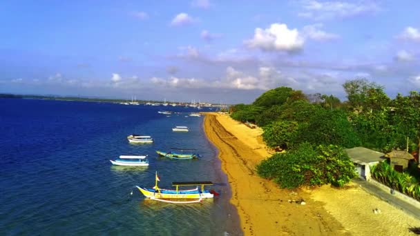 巴厘岛Sanur的Cemara海滩的美丽 从空中捕获 绵延的沙地 碧绿的大海 茂密的绿树 还有停泊在海滩上的几艘船 空中录像 — 图库视频影像