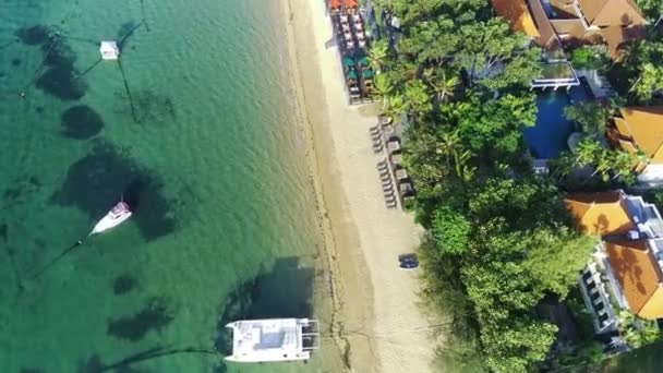 Krem Rengi Kumu Kristal Berrak Deniz Suyu Yemyeşil Ağaçları Sahil — Stok video