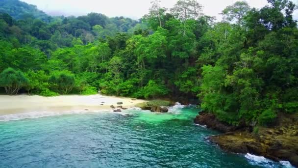 インドネシアのバンワンギにあるテルク イジョまたはグリーンベイの空中景色は 美しい緑の水 白い砂浜 緑豊かな丘を持つ隠れた宝石です 自然愛好家や冒険者のための楽園 — ストック動画