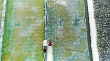 Surabaya, Endonezya 'daki Benowo tuz tarlasında tuz toplama etkinliği. Fotoğraf bir dron kullanılarak havadan çekildi..