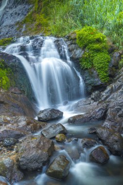 Dieng, Endonezya 'daki Terjun Sikarim şelalesinin fotoğrafı. Şelale bir ormanın ortasında yer almaktadır ve yemyeşil bitki örtüsüyle çevrilidir. Su kayalık bir yamaçtan aşağıya, aşağıdaki bir havuza dökülür..