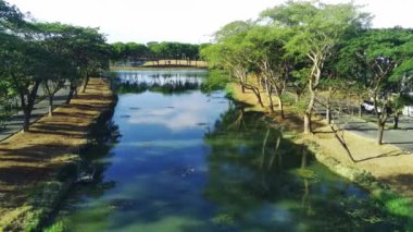 Güneşli bir günde Endonezya, Surabaya 'da ağaçlarla çevrili bir nehrin üzerinde alçaktan uçan Drone uçuşu. Doğa görüntüleri