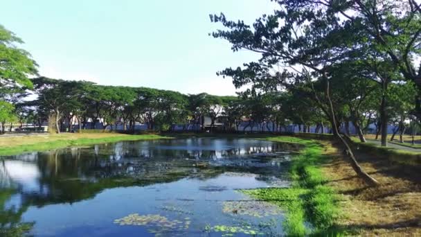 Güneşli Bir Günde Endonezya Surabaya Ağaçlarla Çevrili Bir Nehrin Üzerinde — Stok video