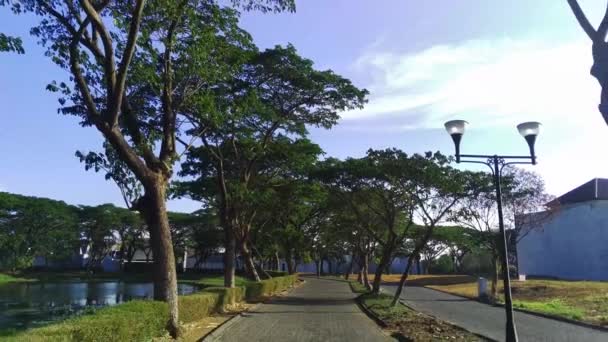 드론은 인도네시아 수라바야의 이스트 East Java 무성한 나무가 늘어서 위에서 — 비디오