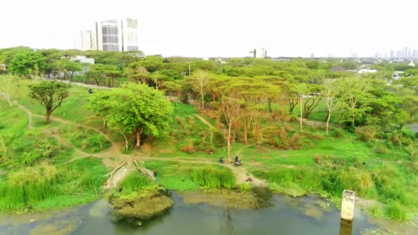 Pemandangan Udara Kolam Kecil Dikelilingi Oleh Pohon Pohon Perbukitan Surabaya — Stok Video