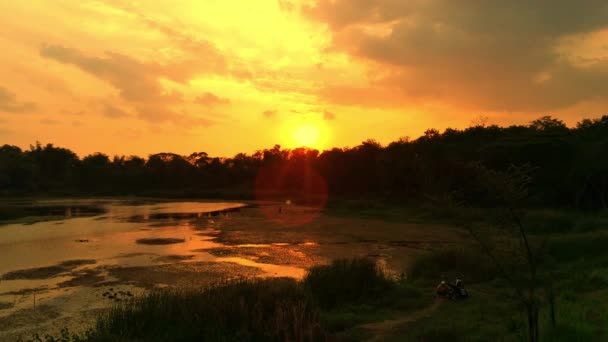 インドネシアのスラバヤで日没時に丘に木々に囲まれた小さな池の空中観察 ドローン フッテージ — ストック動画