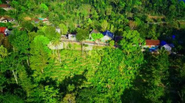 Endonezya 'nın doğu Java bölgesindeki Ponorogo köyündeki bir ormana yaklaşan insansız hava aracı görüntüsü. Hava aracı görüntüleri..