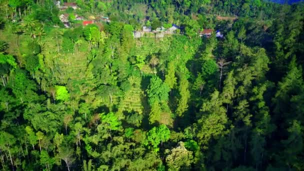 在印度尼西亚东爪哇Ponorogo的一个村庄 无人驾驶飞机接近森林的空中图像 空中无人驾驶飞机镜头 — 图库视频影像