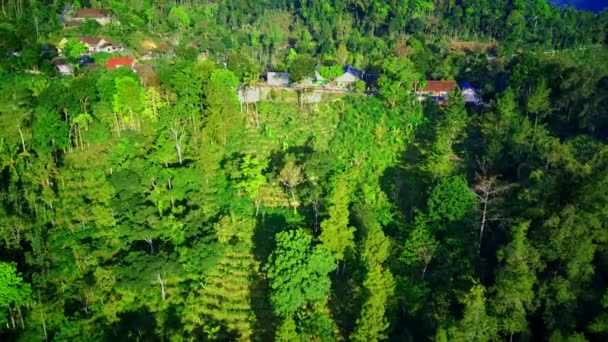 Вид Воздуха Летающий Дрон Приближающийся Лесу Деревне Понорого Восточная Ява — стоковое видео
