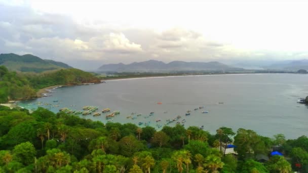 Foto Aérea Papuma Beach Jember Indonesia Con Espesas Vegetaciones Imponente — Vídeo de stock