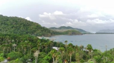 Endonezya, Papuma Sahili 'nde yoğun bitki örtüsü, yüksek uçurum ve okyanus dalgalarıyla çekilen hava görüntüleri..