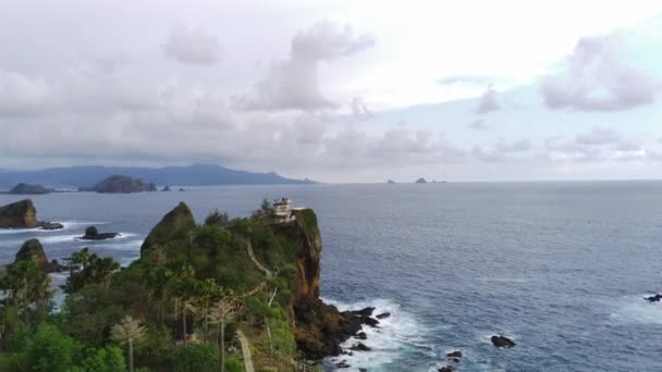 Vue Aérienne Sur Papuma Beach Jember Indonésie Avec Épaisses Végétations — Video