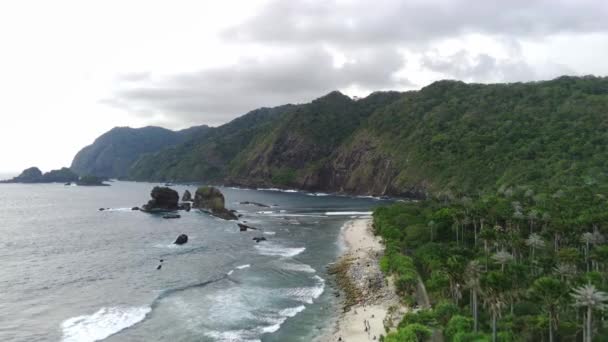 Снимок Дрона Пляже Папума Джембер Индонезия Густыми Растениями Возвышающимися Скалами — стоковое видео