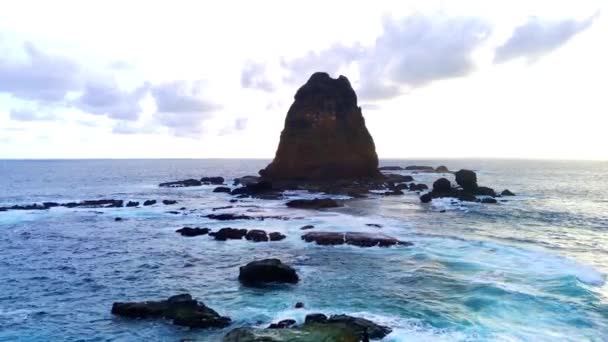 Аэросъемка Пляже Папума Джембер Индонезия Густыми Растениями Возвышающимися Скалами Океанскими — стоковое видео