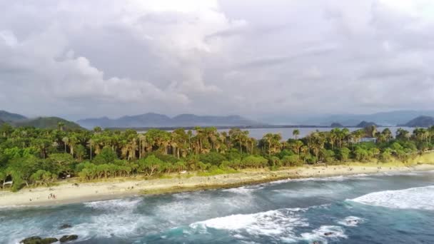 Drone Tourné Sur Papuma Beach Jember Indonésie Avec Des Végétations — Video