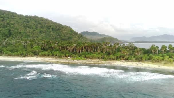 Drone Shot Papuma Beach Grudzień Indonezja Gęstą Roślinnością Wysokie Skały — Wideo stockowe
