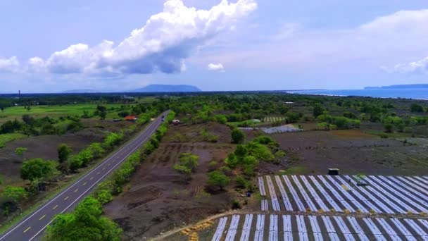 エメラルドグリーンライスパディーの活気に満ちたパッチワークは ジャンバー 東ジャワの緑豊かなインドネシアの田園地帯を通り抜けるアスファルト道路の下に伸びています — ストック動画