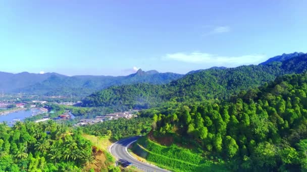 Jls Trenggalek의 나무와 산들로 둘러싸인 고속도로의 무인비행기 — 비디오