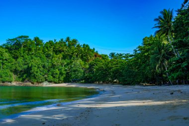 Kumsalın sakinliği, kumlu bir sahil üzerinde yemyeşil ağaçlar. Arka planda, Tulungagung, Doğu Java, Endonezya 'da beyaz bulutlu mavi bir gökyüzü var..