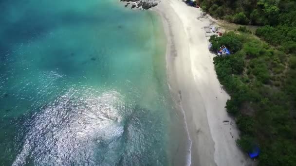 Пляж Білим Піском Пишні Зелені Пальми Лініюють Узбережжя Яко Погойдуючись — стокове відео