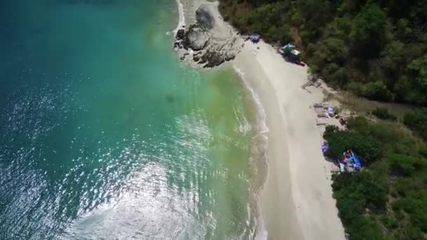 Secluded Beach White Sand Lush Green Palm Trees Line Shore — Stock Video