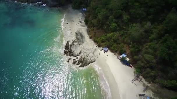 Secluded Beach White Sand Lush Green Palm Trees Line Shore — Stock Video