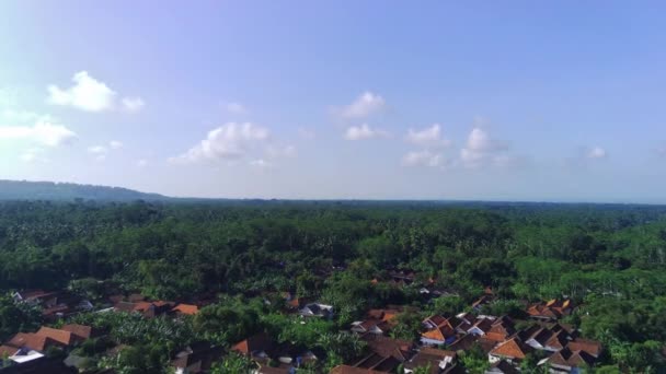 木々に囲まれた青い湖の岸にインドネシア東ジャワのルマジャン湖のラヌパキス湖に近い村 — ストック動画
