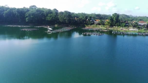 ラヌパキスタンの穏やかな湖の空中観察 インドネシアの東ジャワでは カラフルな家 ドック ボートが水面にぶら下がっています 緑の木が海岸に並んでいる — ストック動画