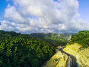 JLS ya da South Coast Road, Tulungagung, Doğu Java, Endonezya 'daki sık yeşil bir ormanın içinden geçen kıvrımlı bir yol. Güneş ışığı ağaçların yapraklarının arasından süzülüyor, yol üzerindeki noktalı ışığı yansıtıyor.