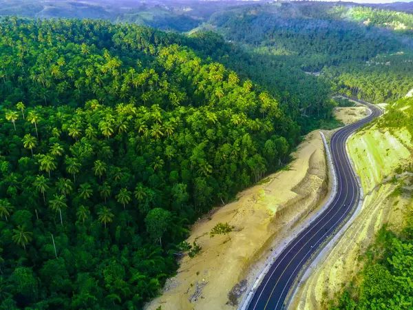JLS ya da South Coast Road, Tulungagung, Doğu Java, Endonezya 'daki sık yeşil bir ormanın içinden geçen kıvrımlı bir yol. Güneş ışığı ağaçların yapraklarının arasından süzülüyor, yol üzerindeki noktalı ışığı yansıtıyor.