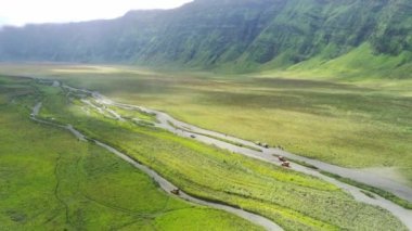 Bromo, East Java, Endonezya 'daki savananın etrafındaki cip görüntüsü.