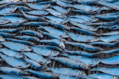 a close-up of dried salted fish. They are grey and silver color and appear stiff and cured. Selective focused and blurred. clipart