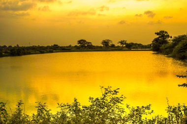 Sakin bir gölet, canlı bir günbatımını yansıtır. Su ve yemyeşil yeşil üzerine altın bir parıltı saçar..