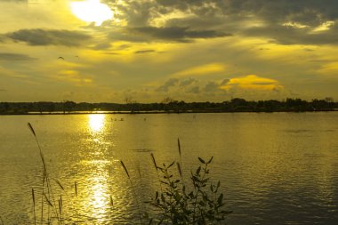 Nefes kesici bir günbatımı, Mengare, Gresik, Endonezya yakınlarındaki sakin bir göletin üzerine altın renkleri döküyor. Siluetli ağaçlar ve bulutlar su yüzeyinde çarpıcı bir yansıma yaratır..