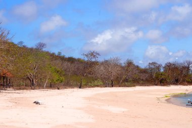 Lombok, Endonezya 'da Pink Beach yakınlarında el değmemiş bir sahil manzarası. Turkuaz berrak sular beyaz kumlu kıyıya doğru yol alırken renkli balıkçı tekneleri körfezde hafifçe sallanıyor.