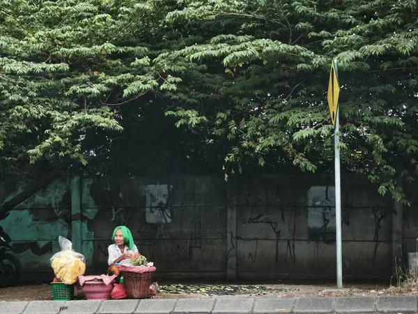 23 Ekim 2024. Surabaya, Endonezya 'daki bir sokak satıcısı, geleneksel bir Endonezya salatası olan Pecel Semanggi' yi satıyor..