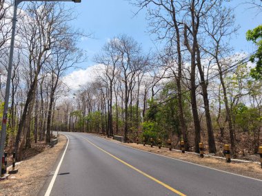 Kıvrımlı bir asfalt yol, Ulusal Park Baluran yakınlarında açık mavi bir gökyüzü altında çıplak ağaçlarla seyrek bir orman boyunca kıvrılır.