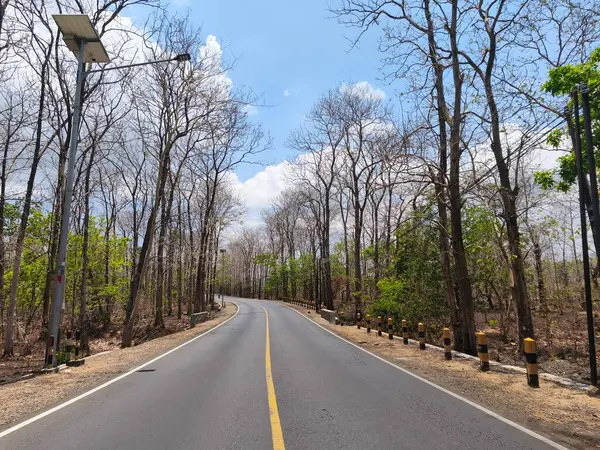 Kıvrımlı bir asfalt yol, Ulusal Park Baluran yakınlarında açık mavi bir gökyüzü altında çıplak ağaçlarla seyrek bir orman boyunca kıvrılır.